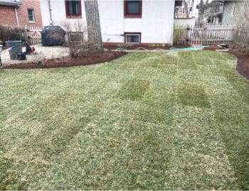 sod installation