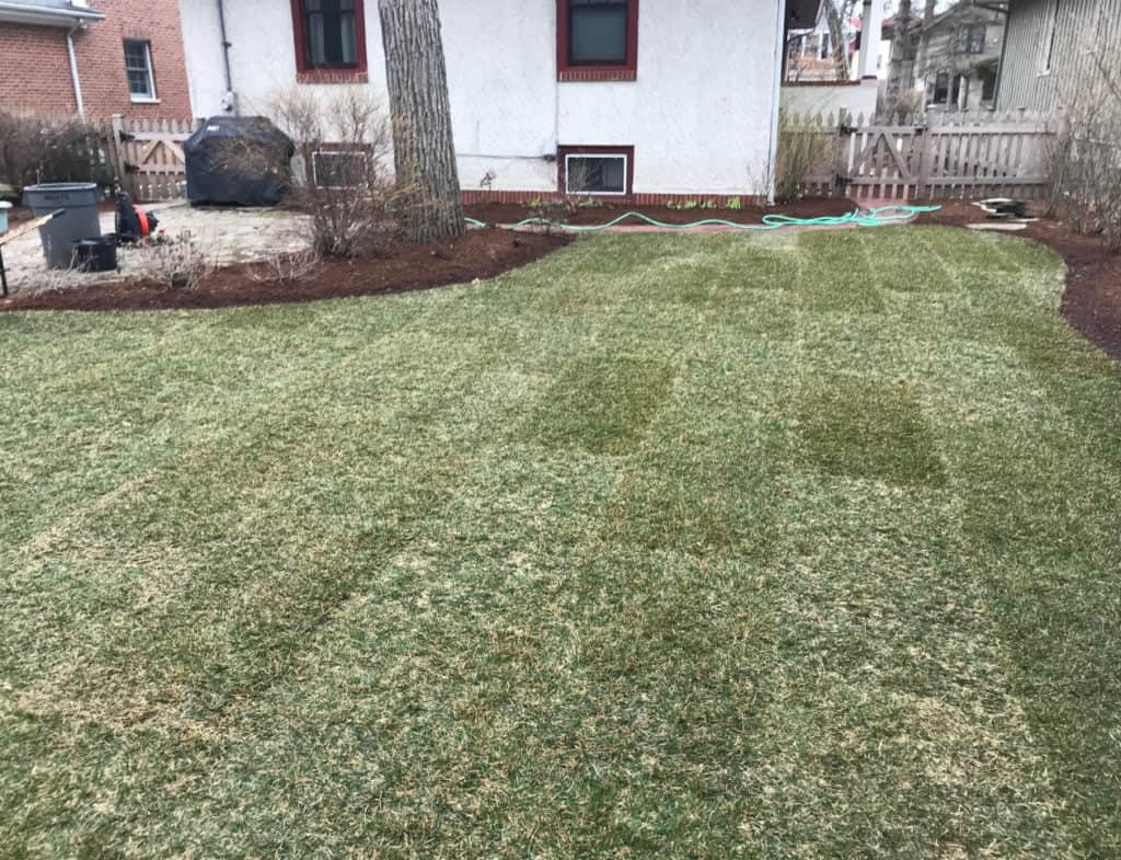Fresh sod laid with staggered seams on a prepared yard in the Chicago area by R & G Almanza Landscape