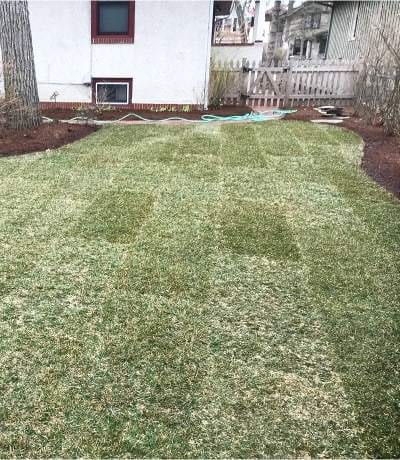 landscaping