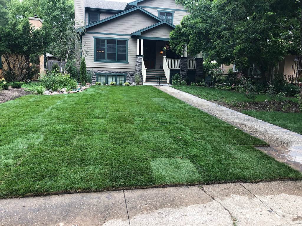 Chicago-area residential property combining a mowed lawn, walkway and foundation plantings