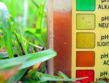 Professional Soil Testing