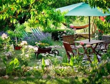 Start Gardening