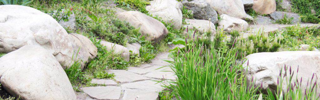 Decorative stone and rock landscaping bed in a Chicago-area yard, a freeze-thaw-friendly hardscape material choice