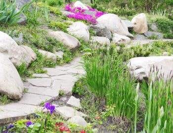 Rock Garden