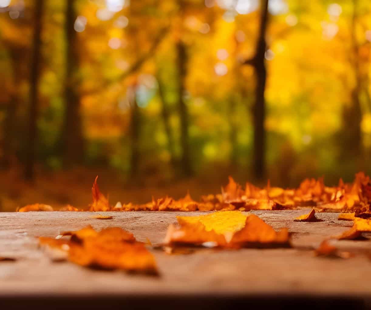 fall leaf cleanup