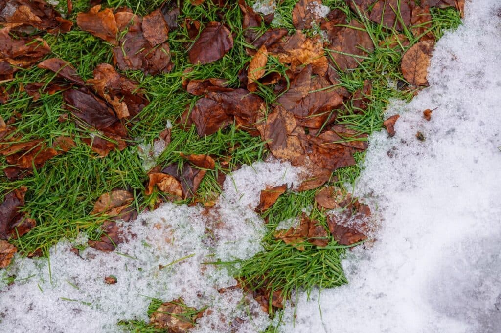 Melting snow over green turf blades in a Chicago yard, R & G Almanza Landscape artificial grass