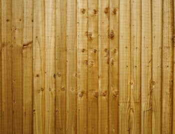 Close-up of vertical cedar fence boards showing several distinct knots and natural grain patterns