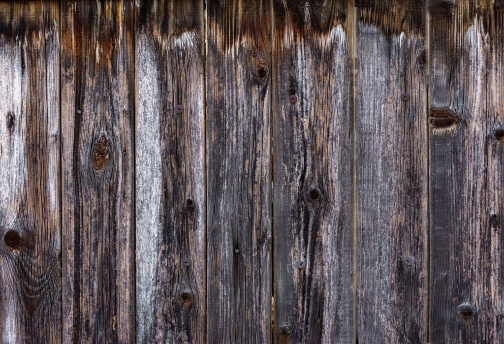 Cedar fence boards weathered to a natural gray with visible grain and rusted nail heads showing