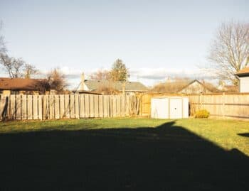 Weathered wood privacy fence enclosing a Chicago-area backyard with a shed and bare winter trees