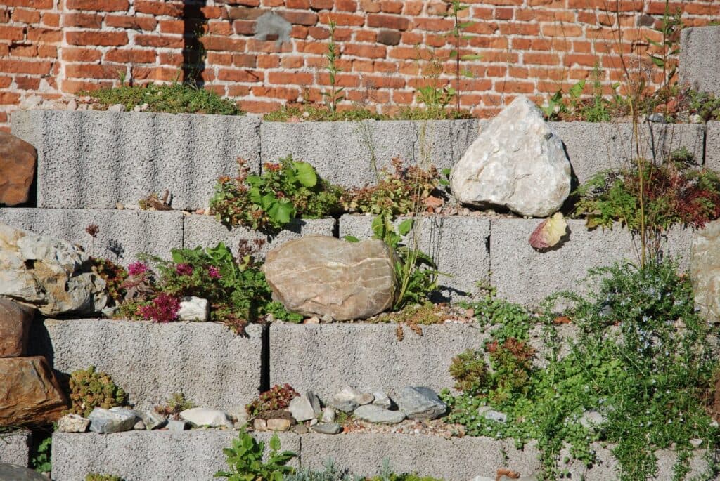 Tiered concrete block retaining wall holding a planted garden bed after a Chicago-area wall rebuild by R & G Almanza
