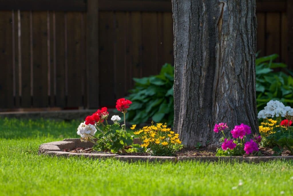 Flowering plants and mulch ringing a tree trunk in an edged bed, with the trunk left bare and clear