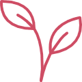 flower icon rose transparent highres
