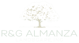 light logo