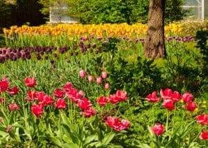 Garden Cleaning