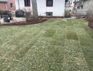 sod installation service