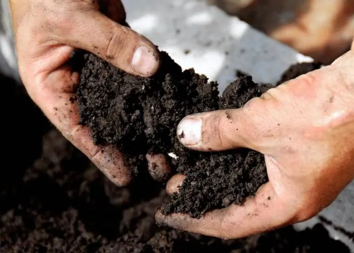 Garden Soil