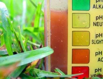 Professional Soil Testing