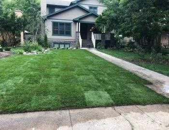 Landscaping Front Yard