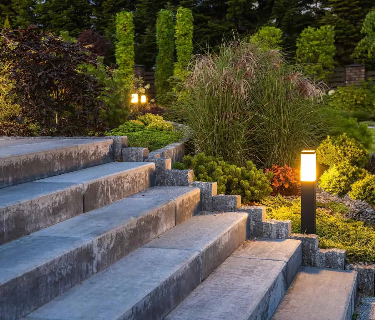 landscaped garden with concrete stairs and decorative illuminati