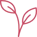 flower icon rose transparent highres